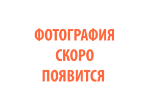 Фото 58 - Плазменный резак  TECH CS 101.